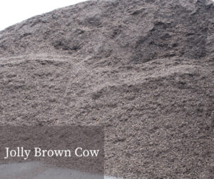 Jolly Brown Cow