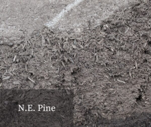 N.E. Pine